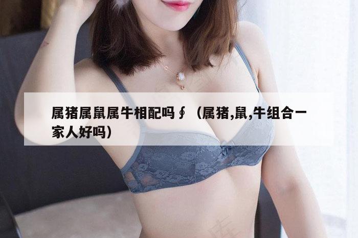 属猪属鼠属牛相配吗∮（属猪,鼠,牛组合一家人好吗）